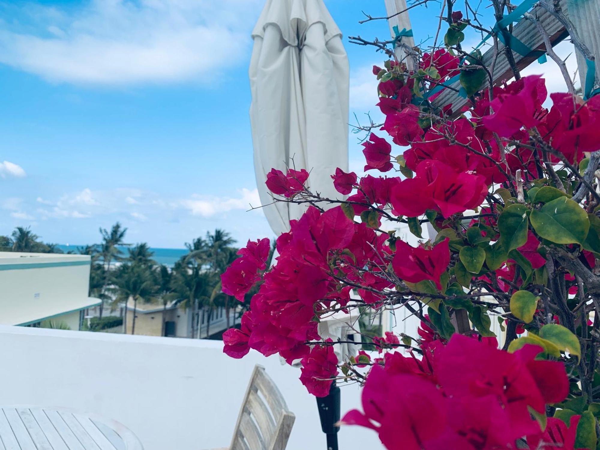 ميامي بيتش Sunrise Penthouse Ocean View Terrace Beach Few Steps Away Sobe المظهر الخارجي الصورة